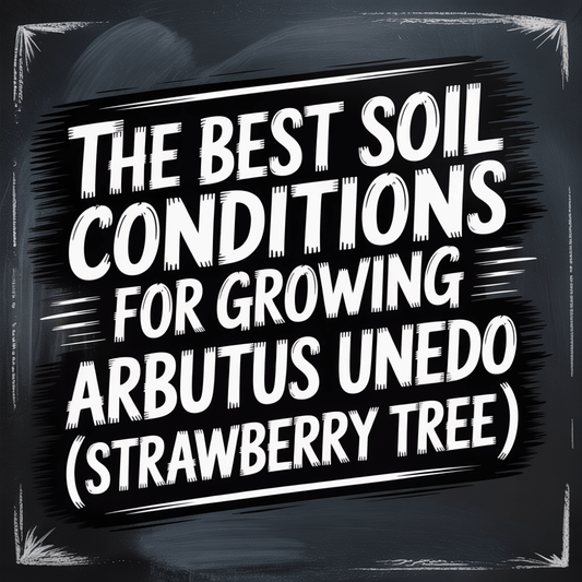 Text graphic about the best soil conditions for growing Arbutus Unedo, also known as Strawberry Tree.