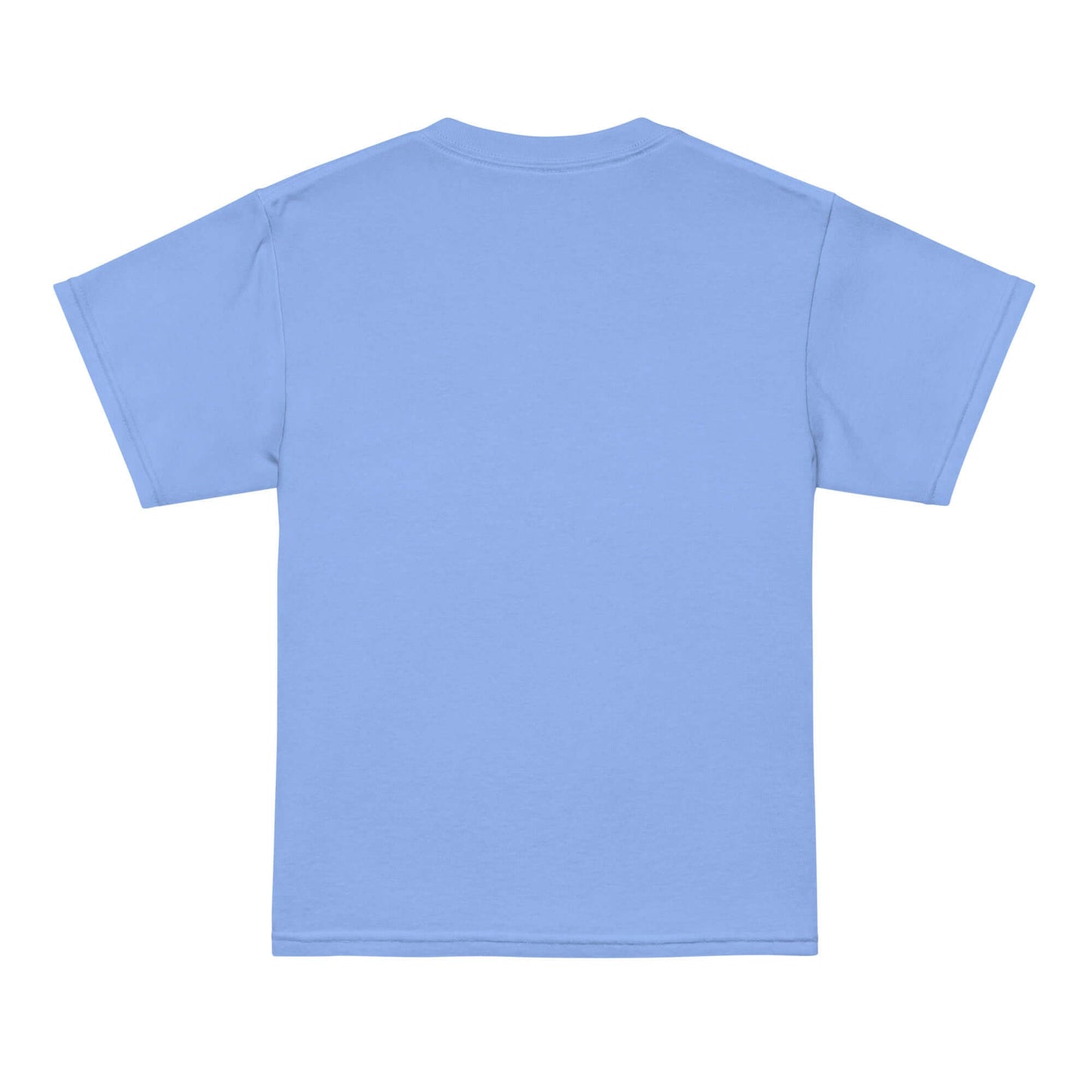 Back view of blue moisture-wicking t-shirt for kids, designed for comfort and active days.