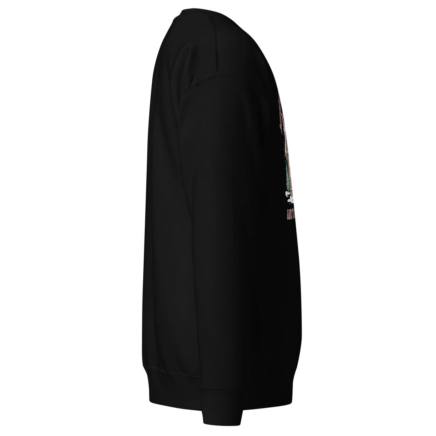 Right of Cozy Pickleball Cabin: Merry Dinks Holiday Sweatshirt (black)