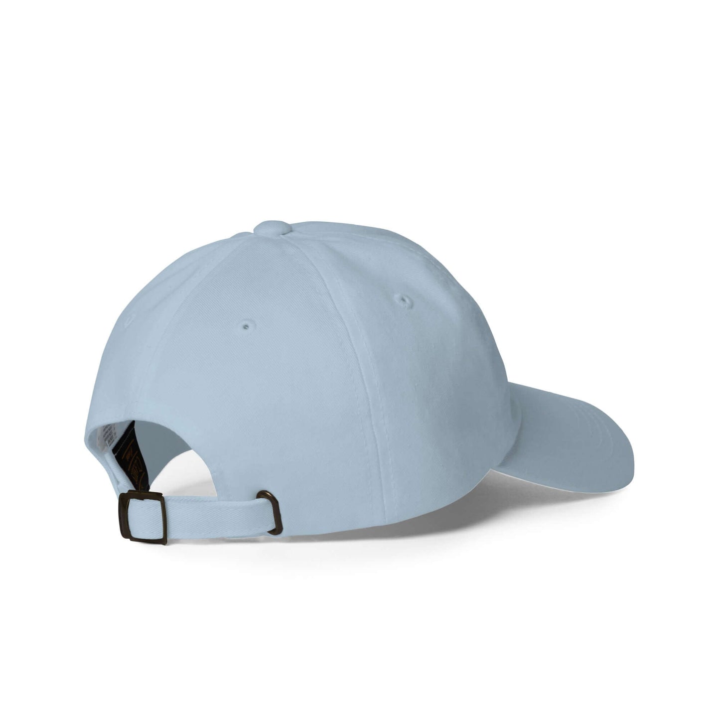Light blue adjustable pickleball hat with low profile design and curved visor, shown from the back with strap detail.