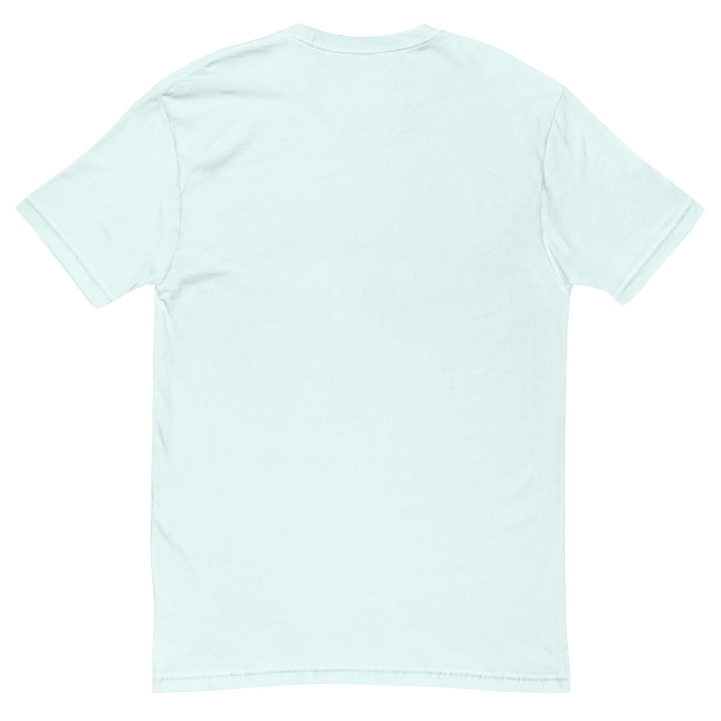 Back view of a light mint green blank tee, showcasing a simple and comfortable design.
