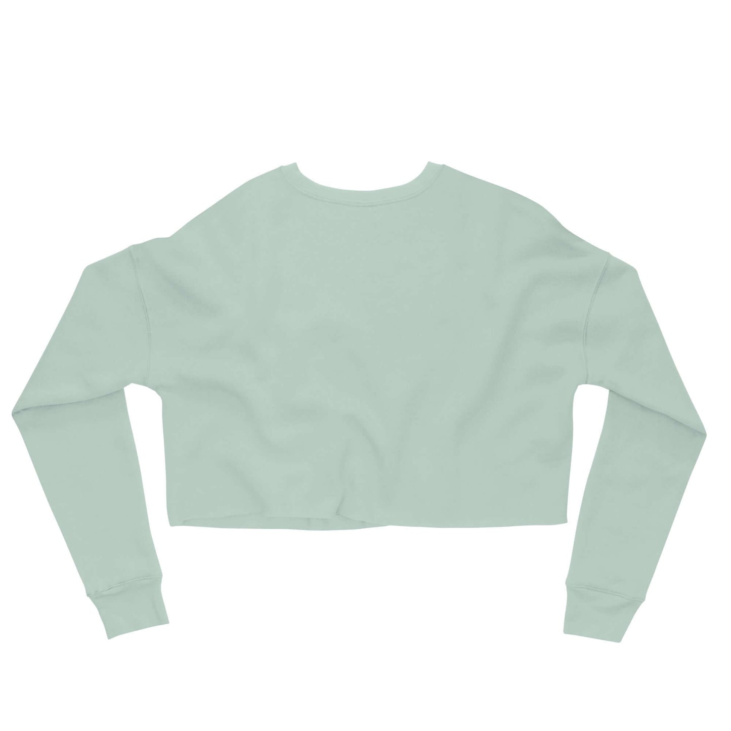 Back view of Women's Peace, Love, Pickleball Crop Sweatshirt in mint green color.
