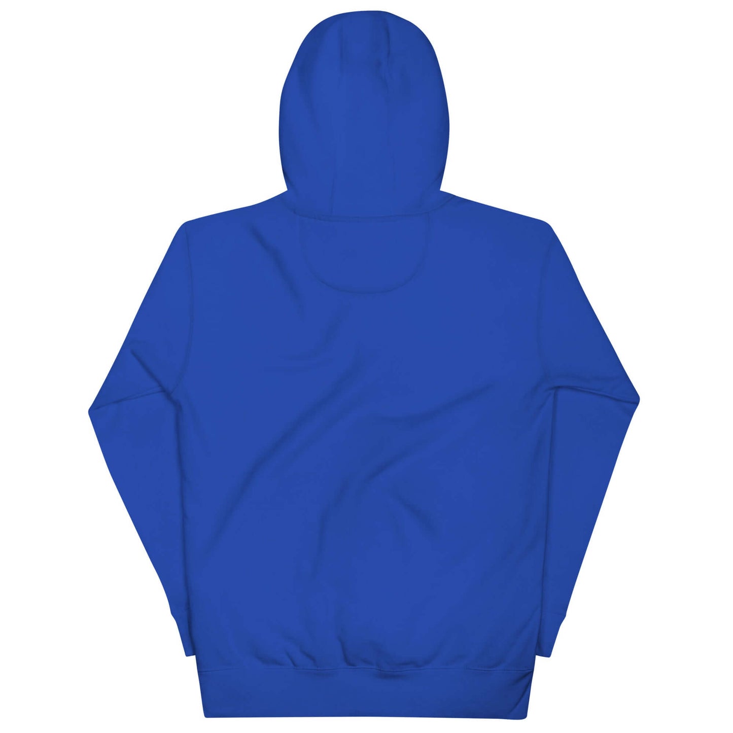 Back view of a blue Women's Peace, Love, Pickleball Hoodie, showcasing its cozy design and stylish appeal.