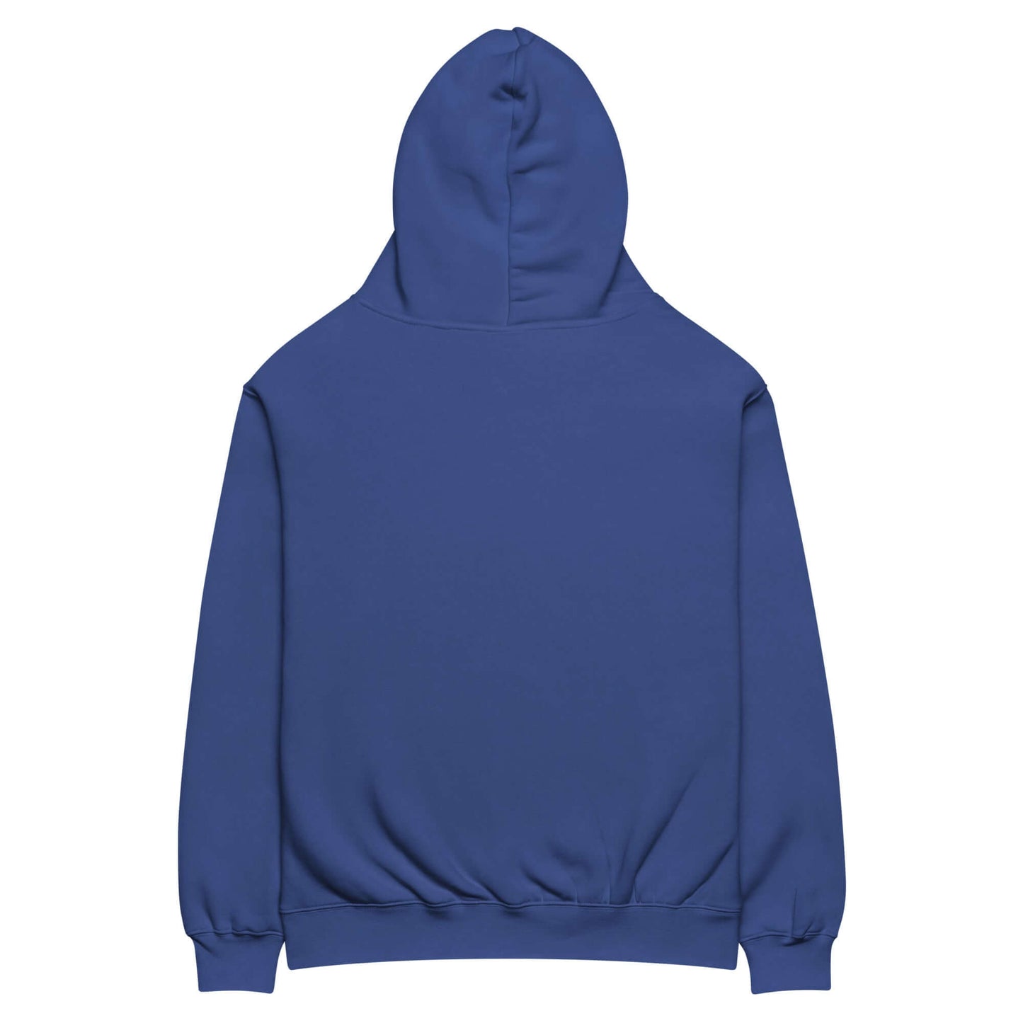 Back view of Women's Peace, Love, Pickleball Oversized Hoodie in blue, showcasing cozy and relaxed fit.