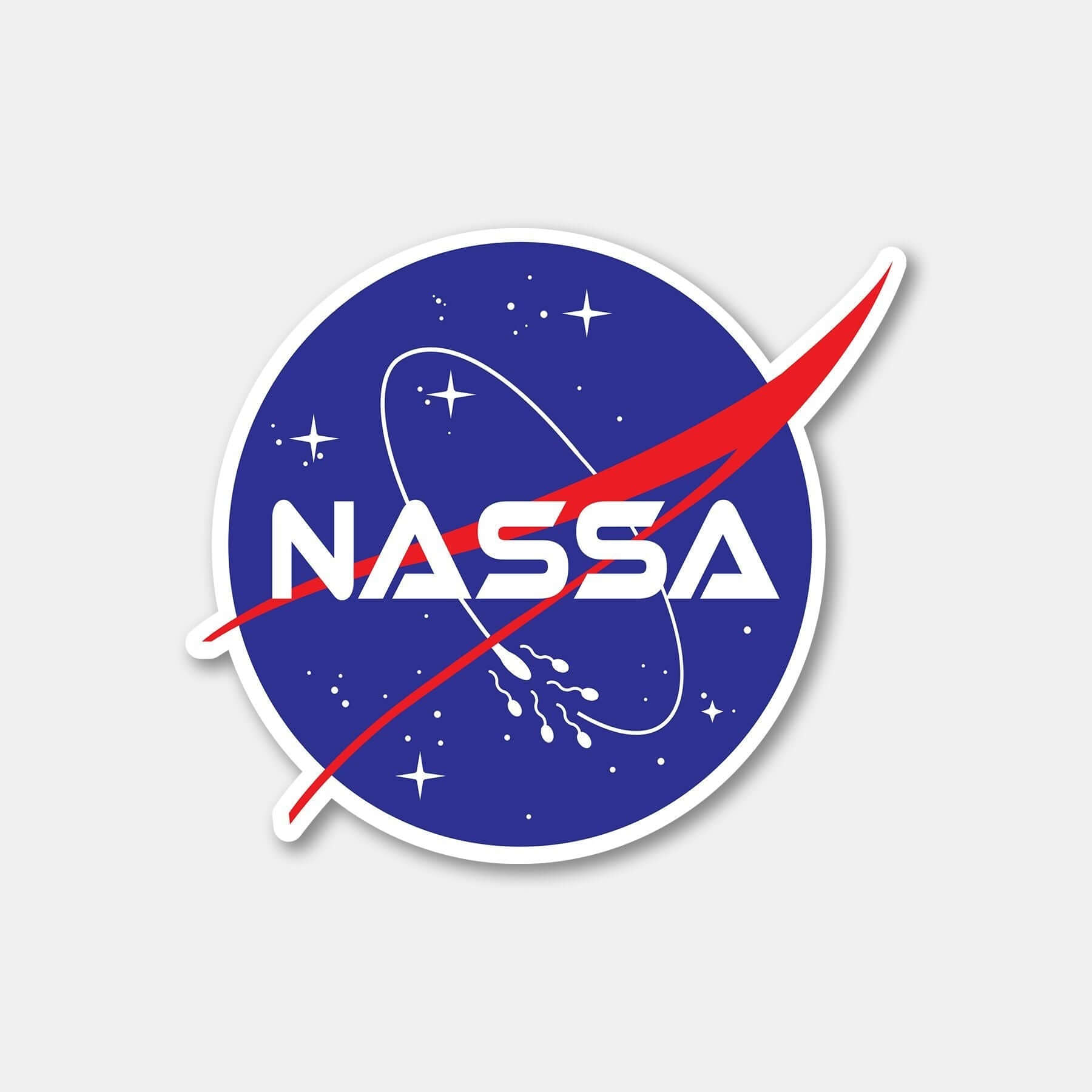 NASSA sticker featuring a space-themed logo with stars and a red swoosh design.