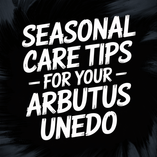 Seasonal care tips for maintaining Arbutus Unedo, also known as Strawberry Trees, for optimal growth.