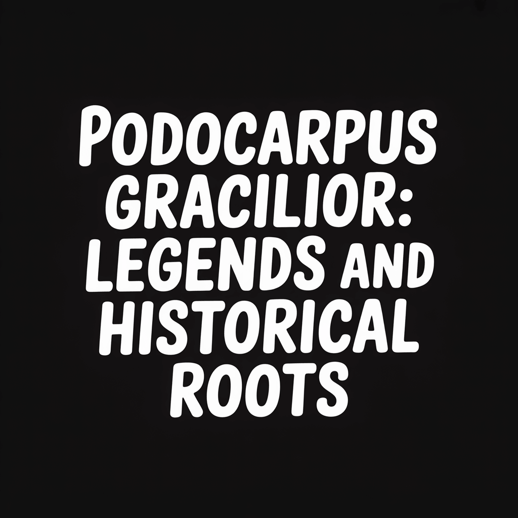 Title image for article 'Podocarpus Gracilior: Legends and Historical Roots' displaying the focus keyword prominently.