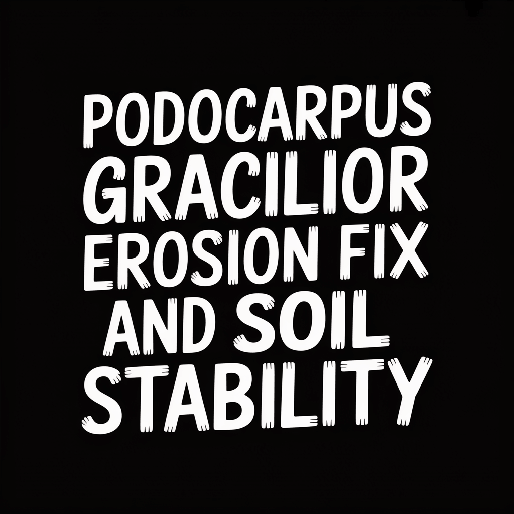 Podocarpus Gracilior text on soil stability and erosion fix in white letters on black background.