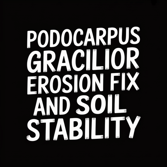 Podocarpus Gracilior text on soil stability and erosion fix in white letters on black background.