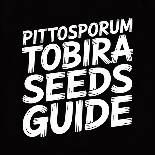 Pittosporum Tobira Seeds Guide text graphic with bold typography on a black background.