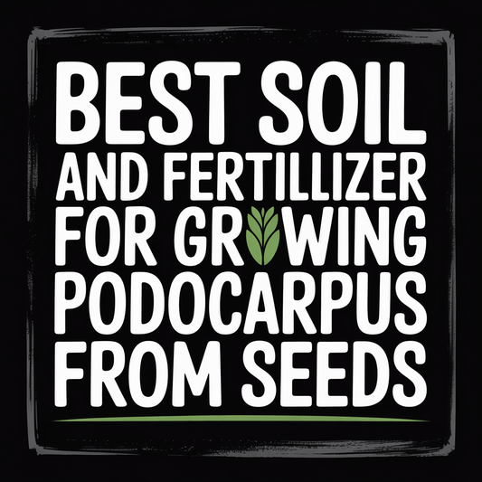 Best soil and fertilizer for growing Podocarpus from seeds text graphic on a dark background