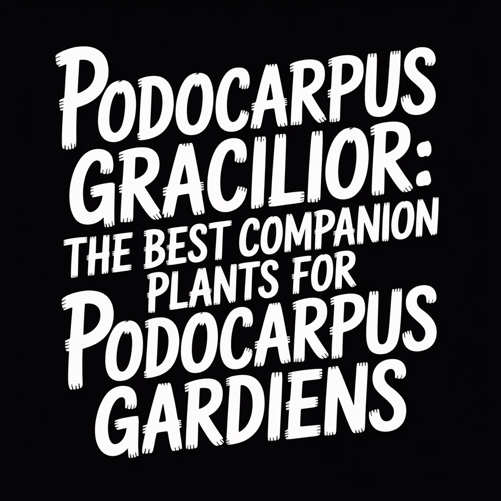 Podocarpus Gracilior: The Best Companion Plants for Podocarpus Gardens.