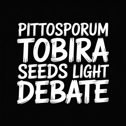 Graphic text of "Pittosporum Tobira Seeds Light Debate" highlighting discussion on Pittosporum Tobira Seeds.