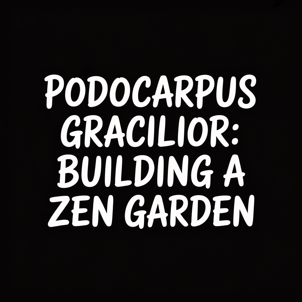 Podocarpus Gracilior: Building a Zen Garden title on a black background.