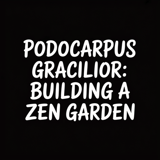 Podocarpus Gracilior: Building a Zen Garden title on a black background.
