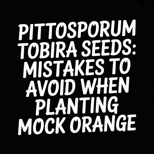 Pittosporum Tobira Seeds: Mistakes to Avoid When Planting Mock Orange image highlighting key planting tips.