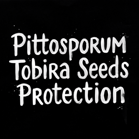 Pittosporum Tobira Seeds Protection text on black background for gardening article.