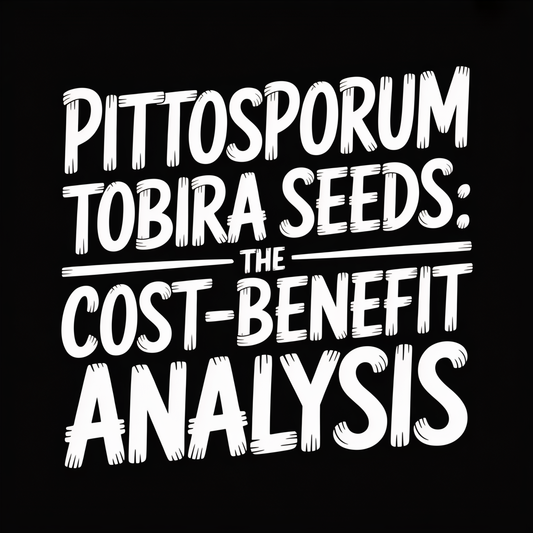 Pittosporum Tobira Seeds: The Cost-Benefit Analysis title graphic on a black background.