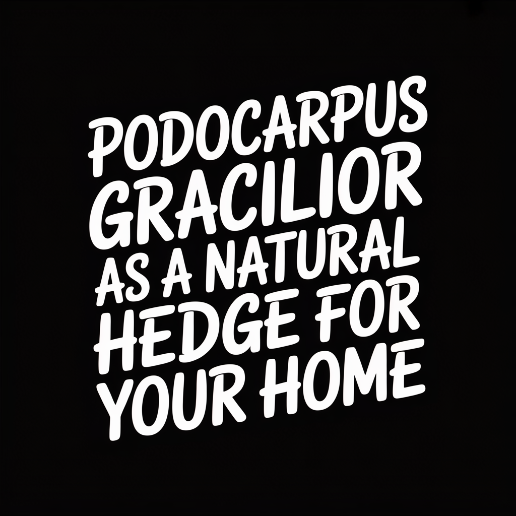 Text graphic featuring "PODOCARPUS GRACILIOR as a natural hedge for your home" in bold typography.