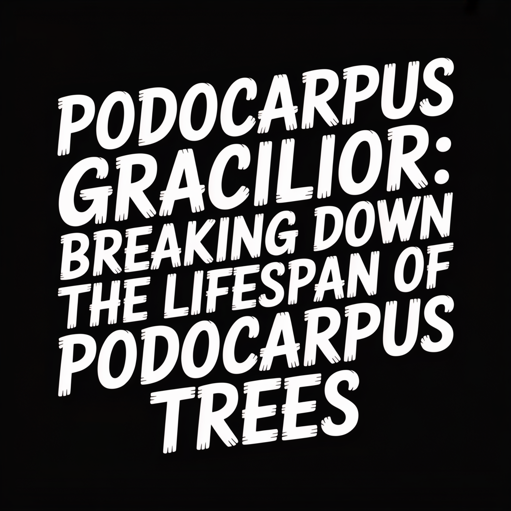 Text image featuring the title Podocarpus Gracilior: Breaking Down the Lifespan of Podocarpus Trees.