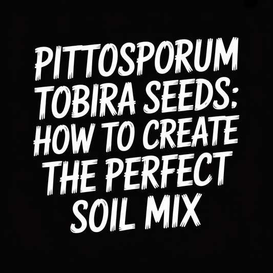 Pittosporum Tobira Seeds: How to Create the Perfect Soil Mix