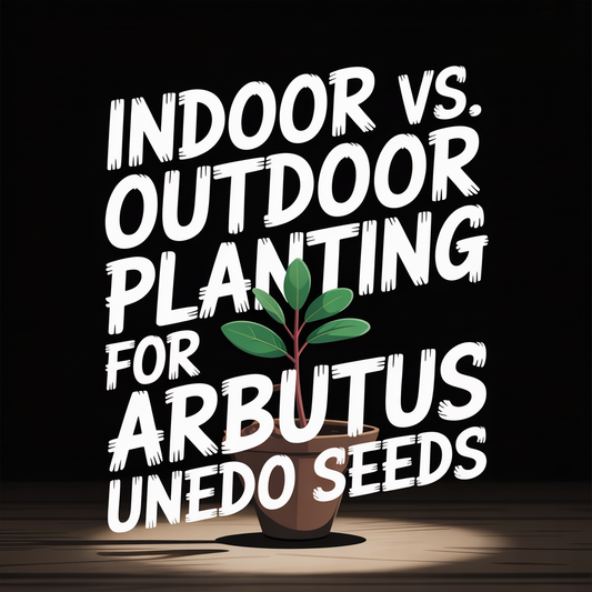 Indoor vs. Outdoor Planting for Arbutus Unedo Seeds illustration with a plant in a pot.