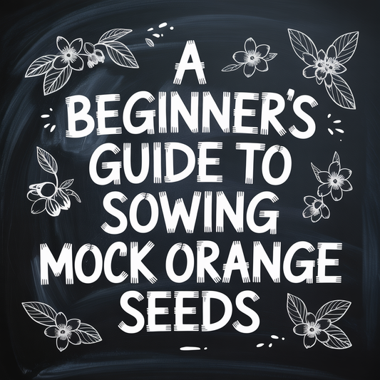 A Beginner's Guide to Sowing Mock Orange Seeds, featuring flowers and a chalkboard background.