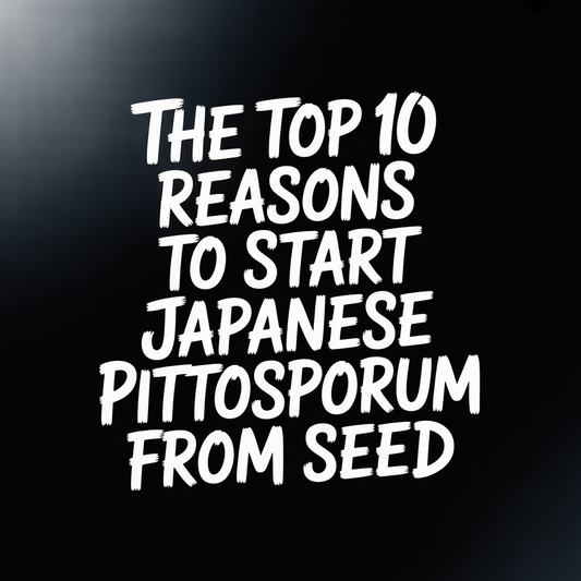 Text graphic highlighting the top 10 reasons to start Japanese Pittosporum from seed.