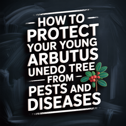 Text on a chalkboard background: How to protect your young Arbutus Unedo tree from pests and diseases.