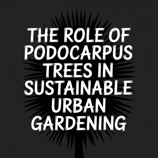 Text graphic highlighting the role of Podocarpus trees in sustainable urban gardening.