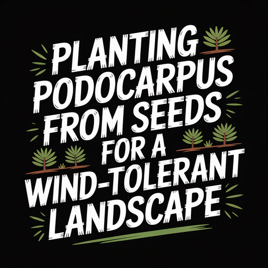 Text graphic: Planting Podocarpus from seeds for a wind-tolerant landscape with plant illustrations.