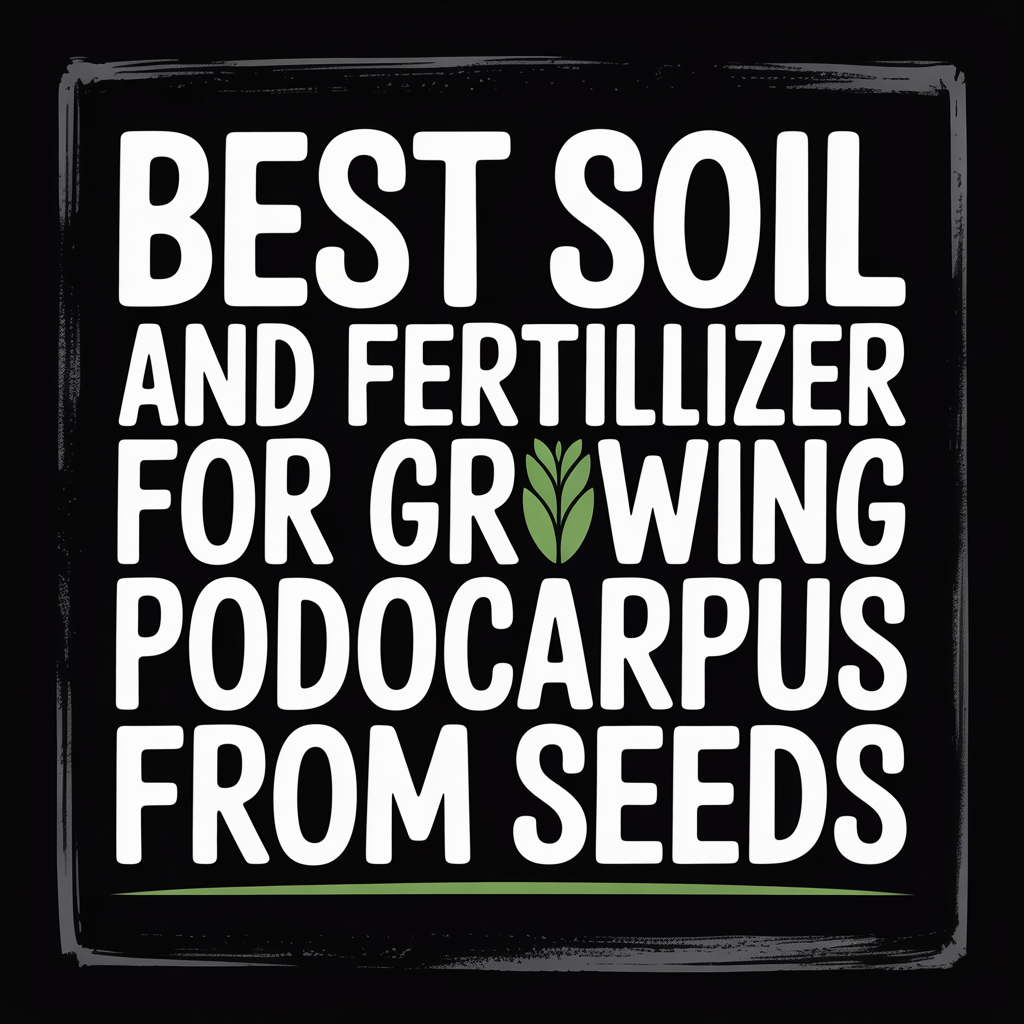 Best soil and fertilizer for growing Podocarpus from seeds text graphic on a dark background