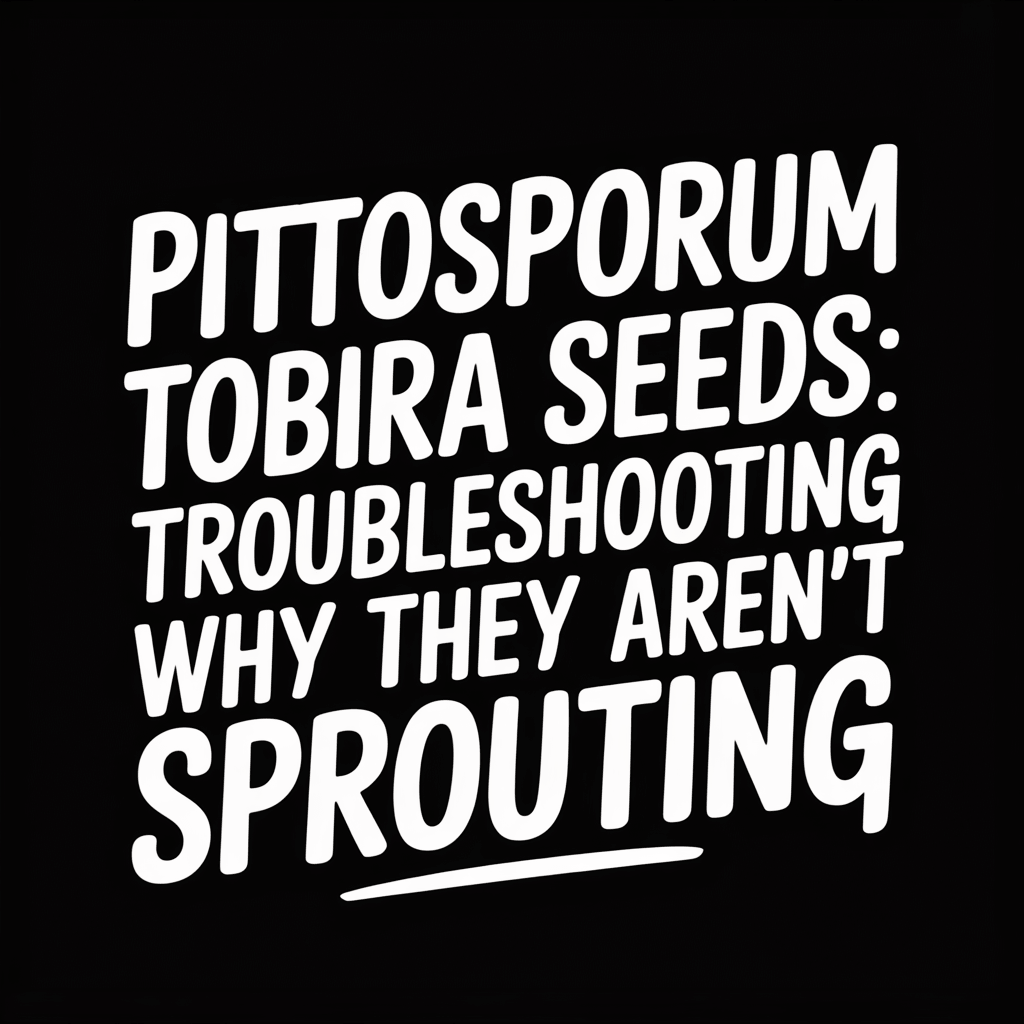 Pittosporum Tobira seeds: Troubleshooting why they aren't sprouting article cover