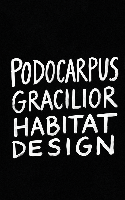 Podocarpus Gracilior Habitat Design