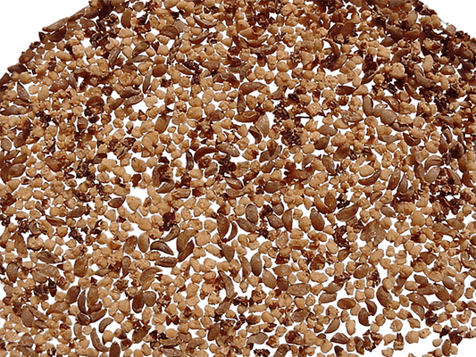 Close-up of Arbutus unedo Strawberry Tree seeds, showcasing their rich colors and texture for gardening enthusiasts.