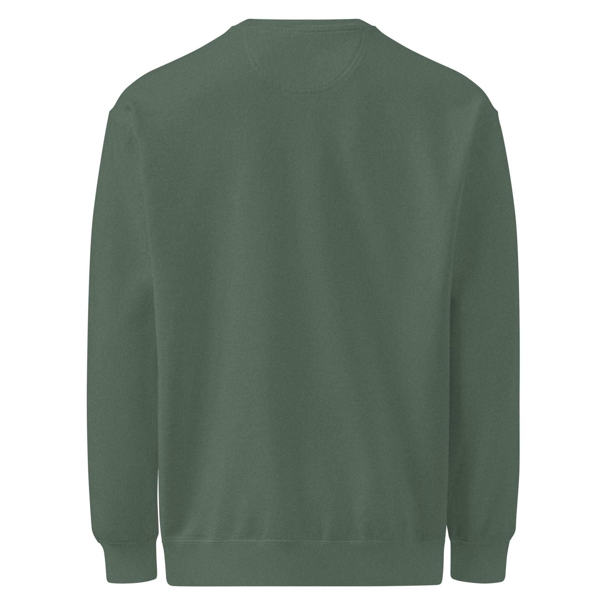 Back view of a Pickleball No Mercy Series unisex garment-dyed sweatshirt in faded green.
