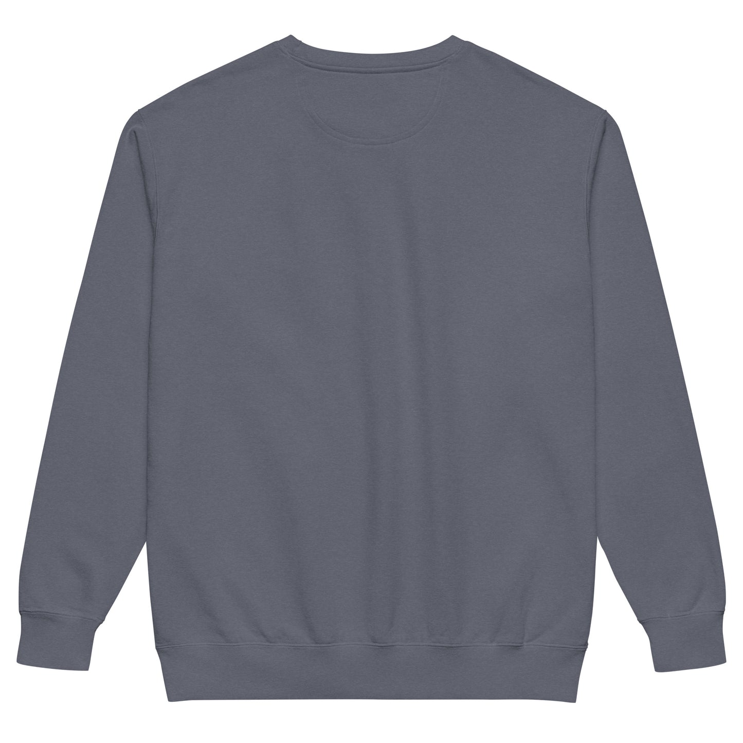 Back view of a unisex garment-dyed sweatshirt for pickleball enthusiasts, showcasing soft fabric and cozy design.