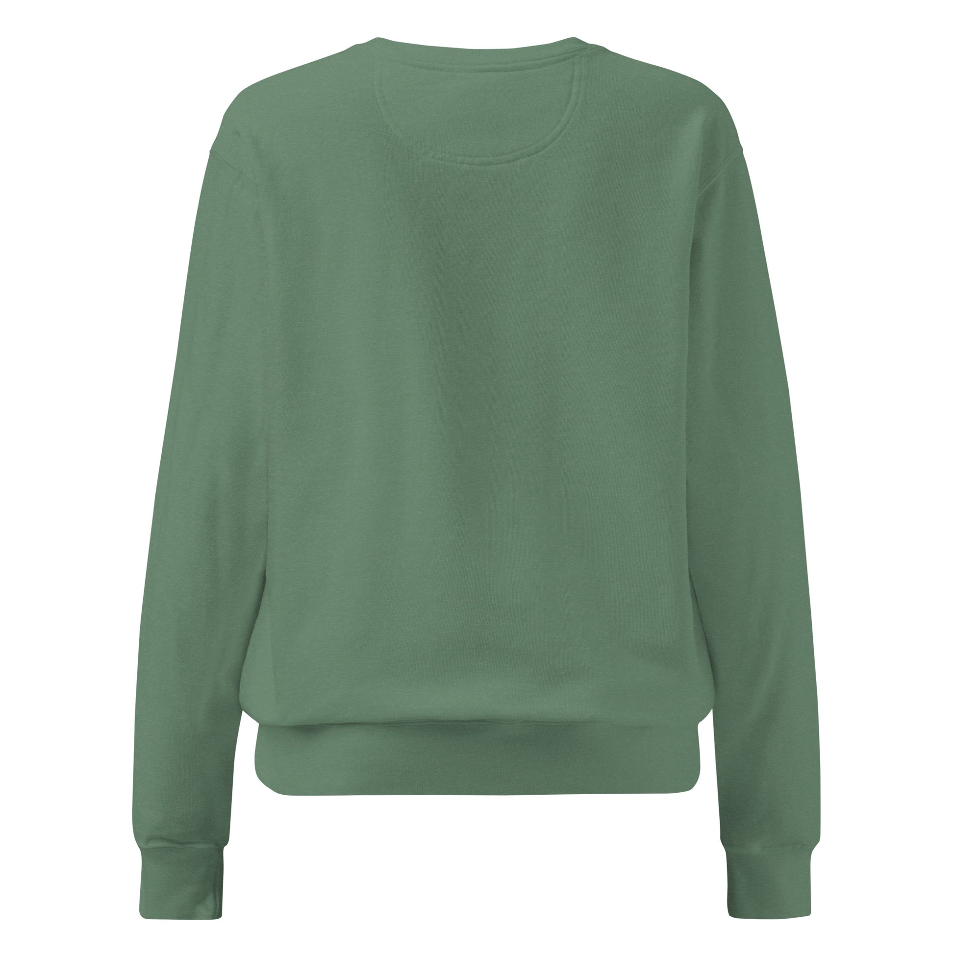 Back view of Pickleball No Mercy Series unisex garment-dyed sweatshirt in soft green color.