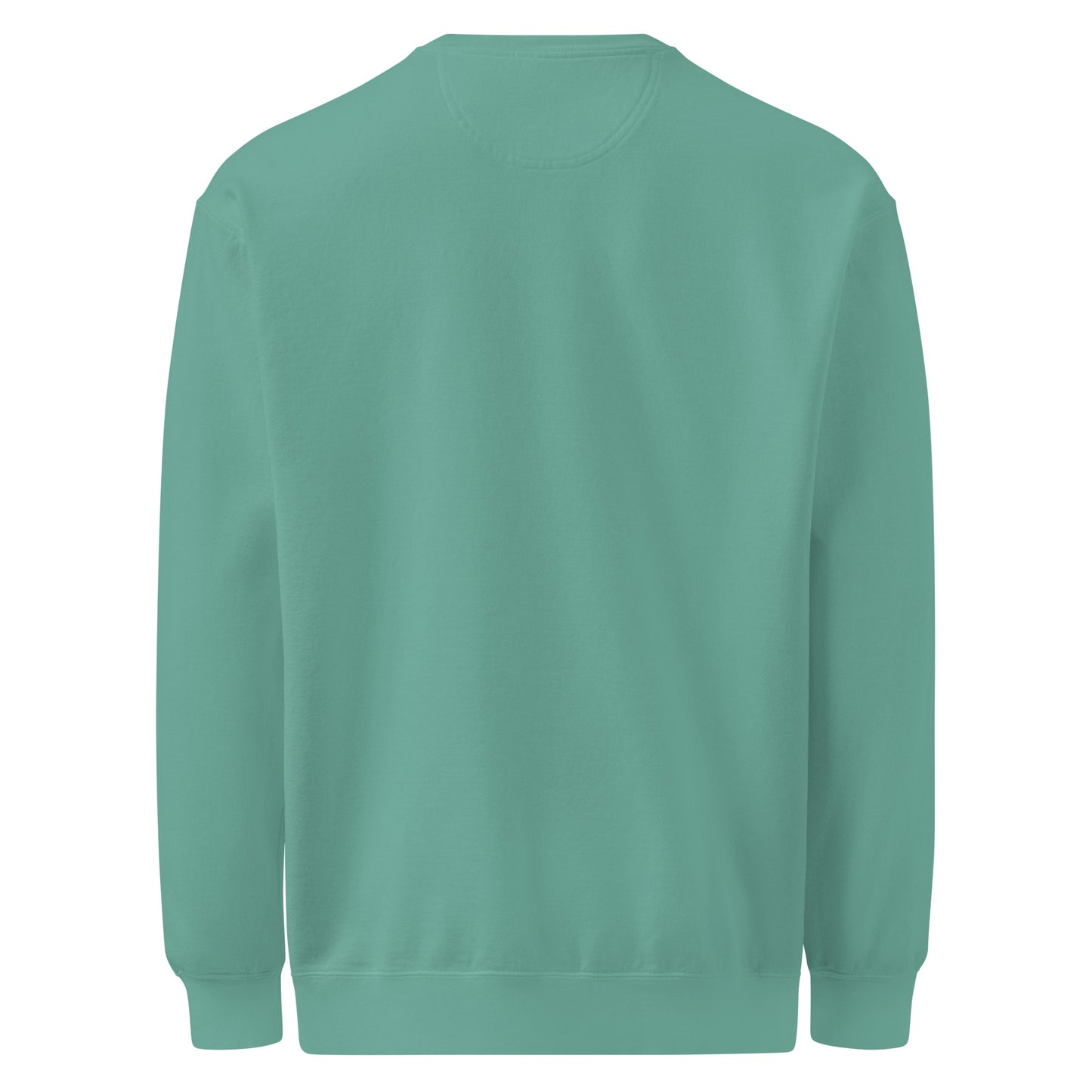 Back view of the Pickleball No Mercy Series unisex garment-dyed sweatshirt in a vintage-washed teal color.