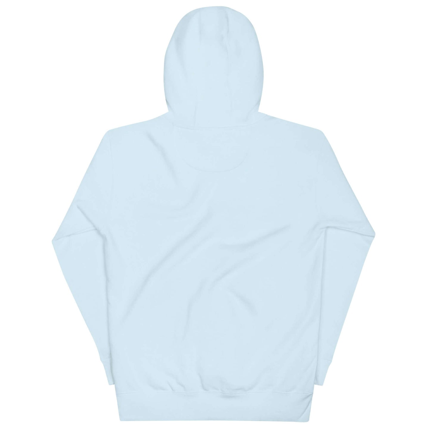 Back view of Women's Peace, Love, Pickleball Hoodie in light blue, perfect for casual wear and pickleball enthusiasts.
