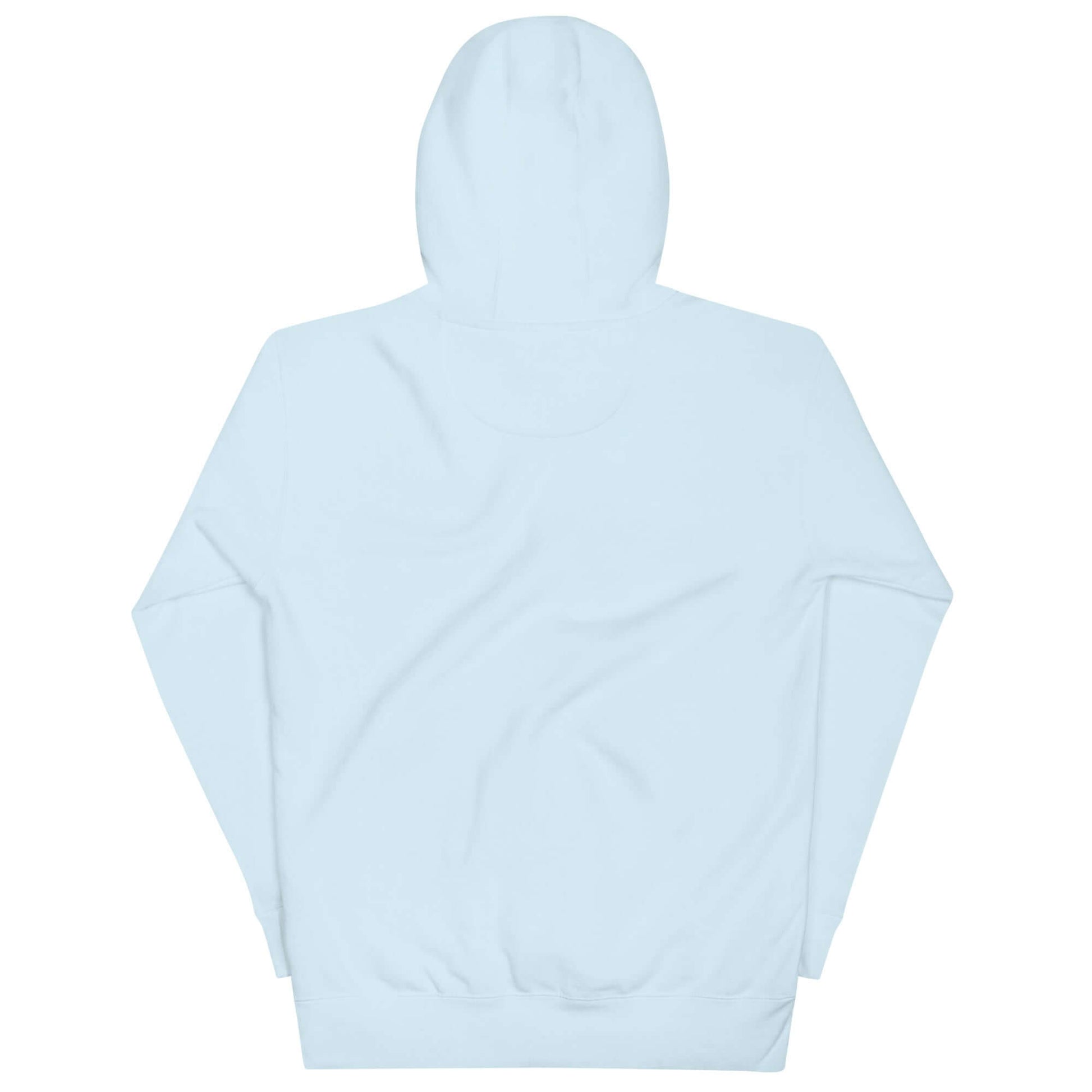Back view of Women's Peace, Love, Pickleball Hoodie in light blue, perfect for casual wear and pickleball enthusiasts.